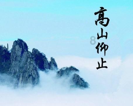 动物帮帮忙保卫家园